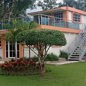 Lodge Club ámbar 